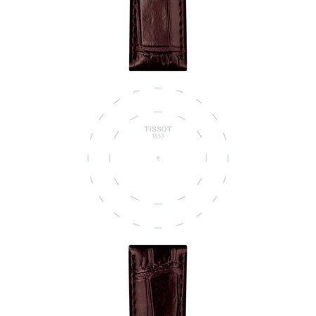 Focus on the lugs of Tissot Official Brown Leather Strap Lugs 20 mm