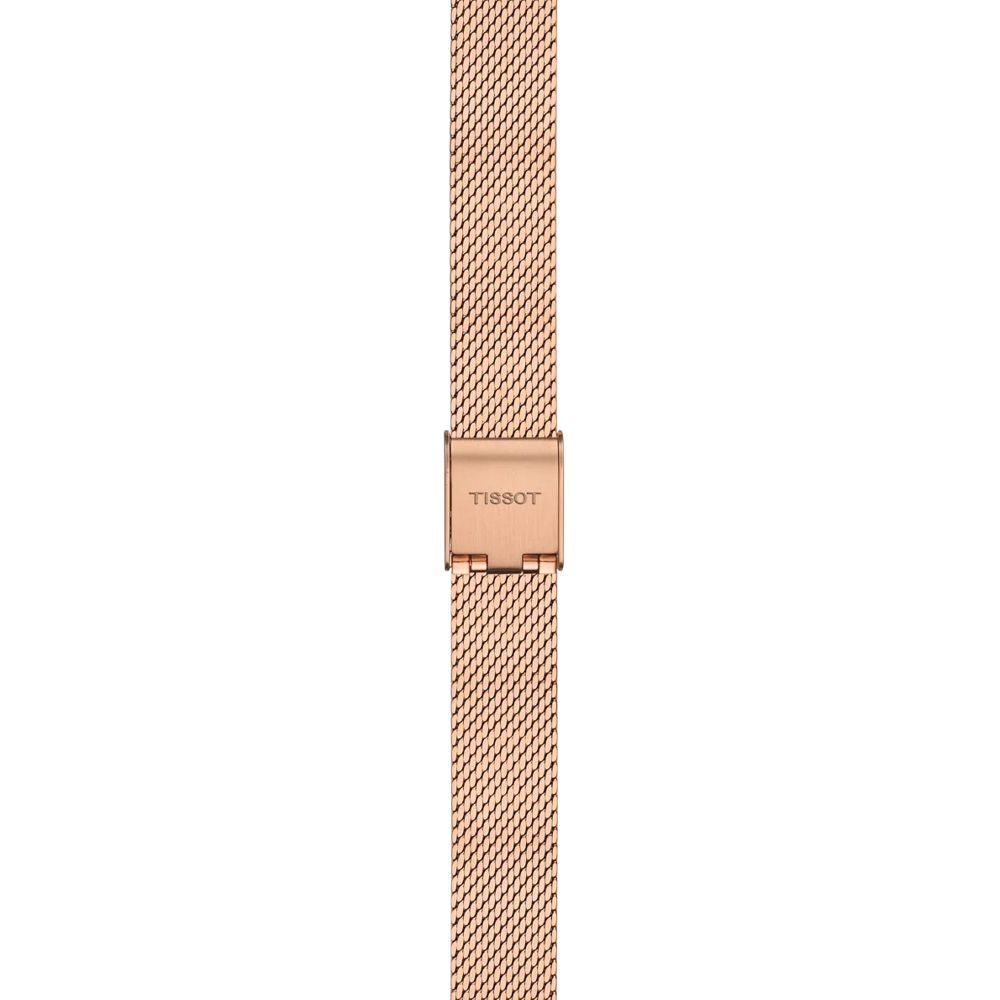 Strap zoom of the watch Tissot SRV 30mm