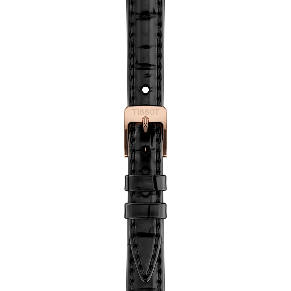 Strap zoom of the watch Tissot SRV 30mm