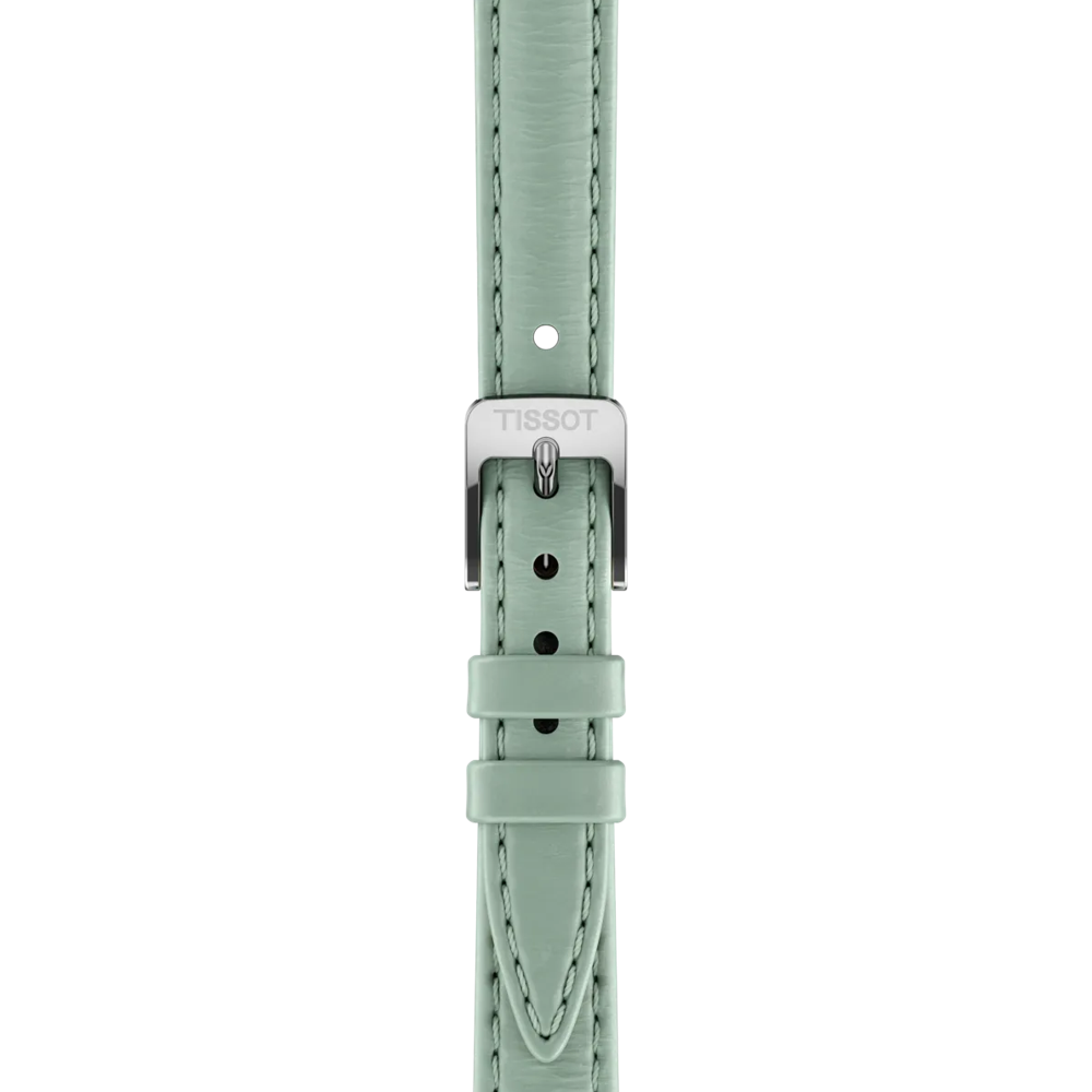 시계의 스트랩 확대/축소 티쏘 SRV