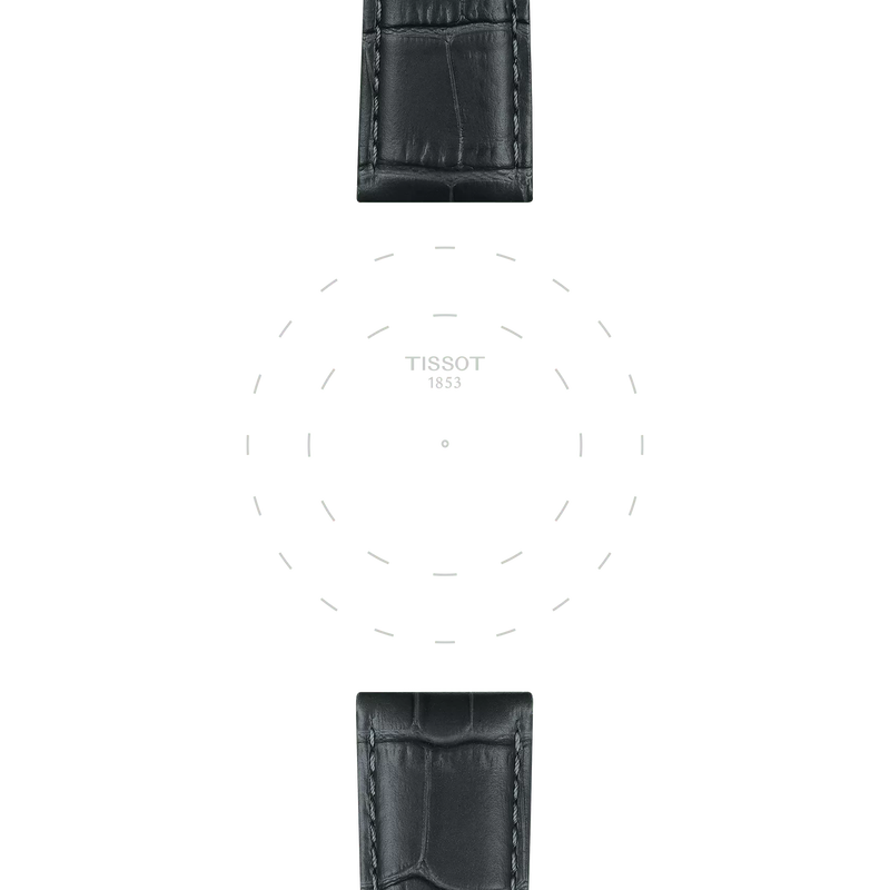 Focus on the lugs of Sk&oacute;rzany szary pasek Tissot 21 mm 