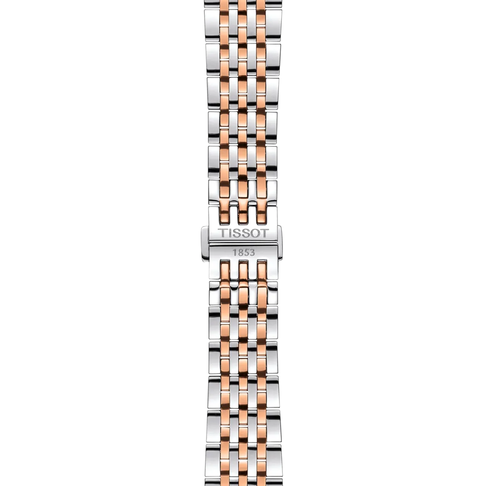 Strap zoom of the watch Tissot Le Locle 39.3mm