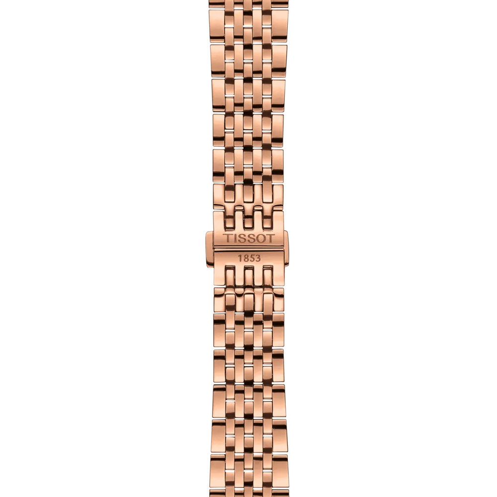 Strap zoom of the watch Tissot Le Locle 39.3mm