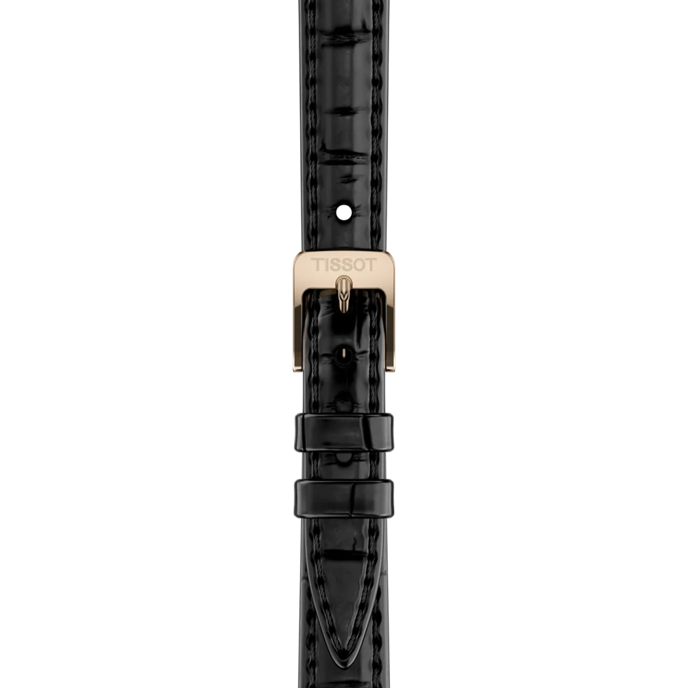 Strap zoom of the watch Tissot SRV 30mm