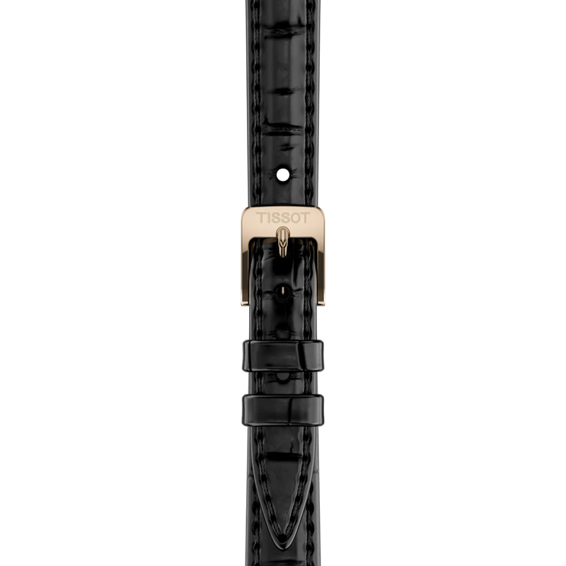 Strap zoom of the watch Tissot SRV 30mm