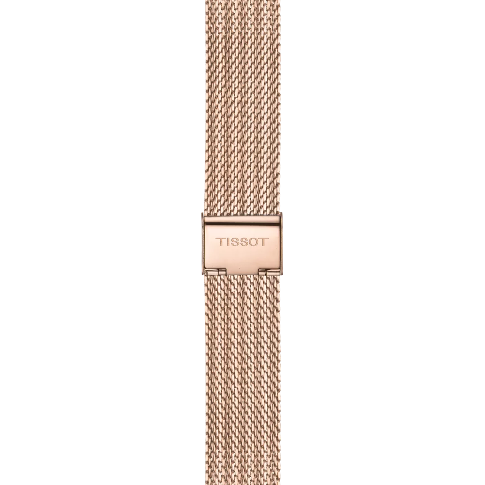 Strap zoom of the watch Tissot PR 100 Sport Chic 38mm