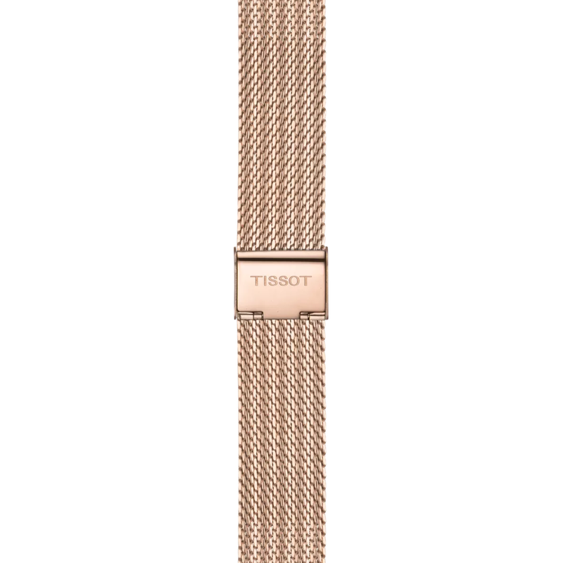 Strap zoom of the watch Tissot PR 100 Sport Chic 38mm