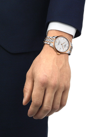 Simulation of the watch Tissot Le Locle Powermatic 80 on a wrist