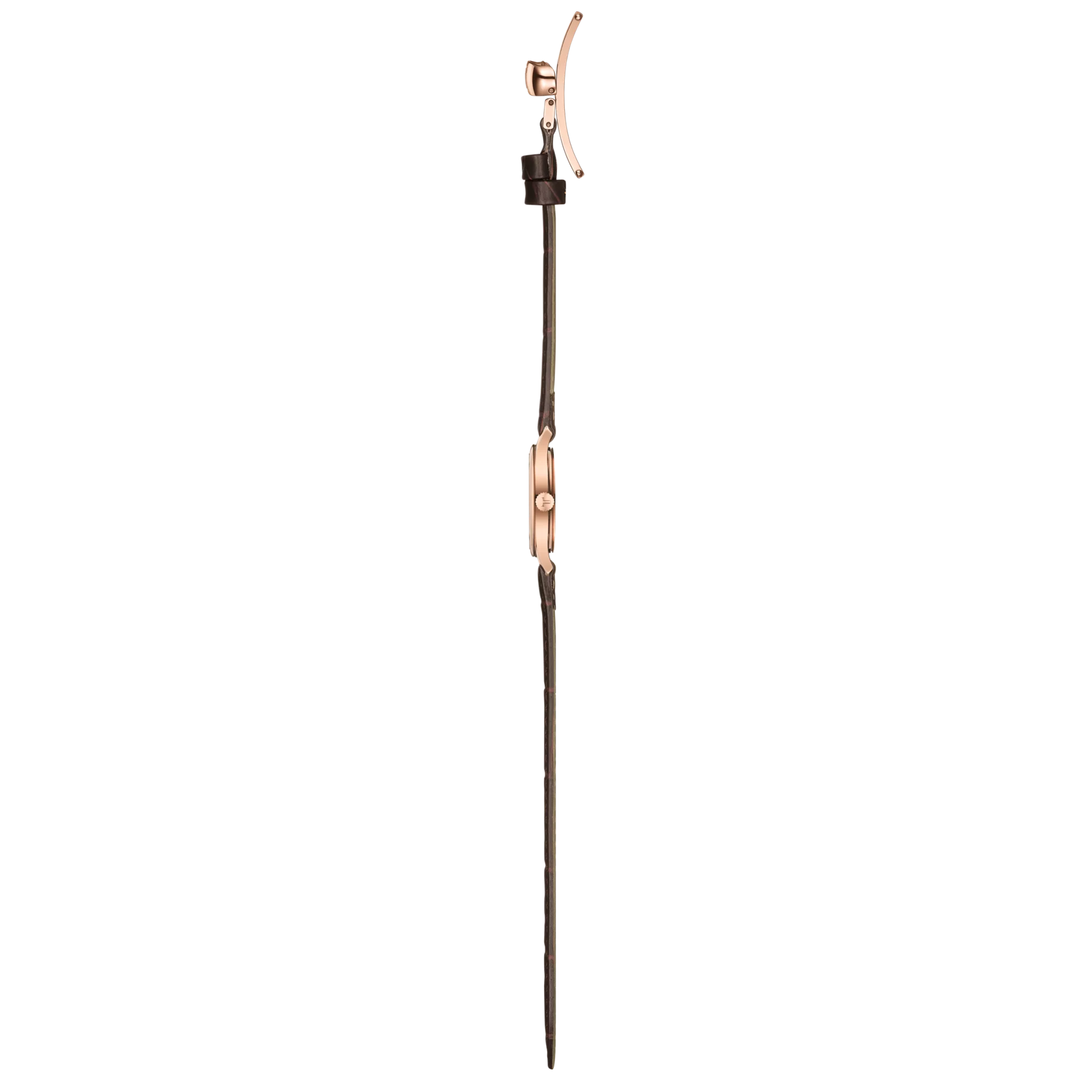 Vue de profil du boîtier de la montre Tissot Tradition 5.5 Lady