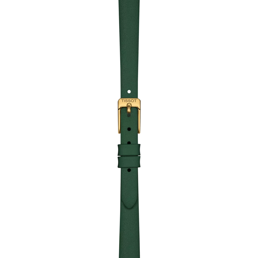 시계의 스트랩 확대/축소 티쏘 러블리 라운드