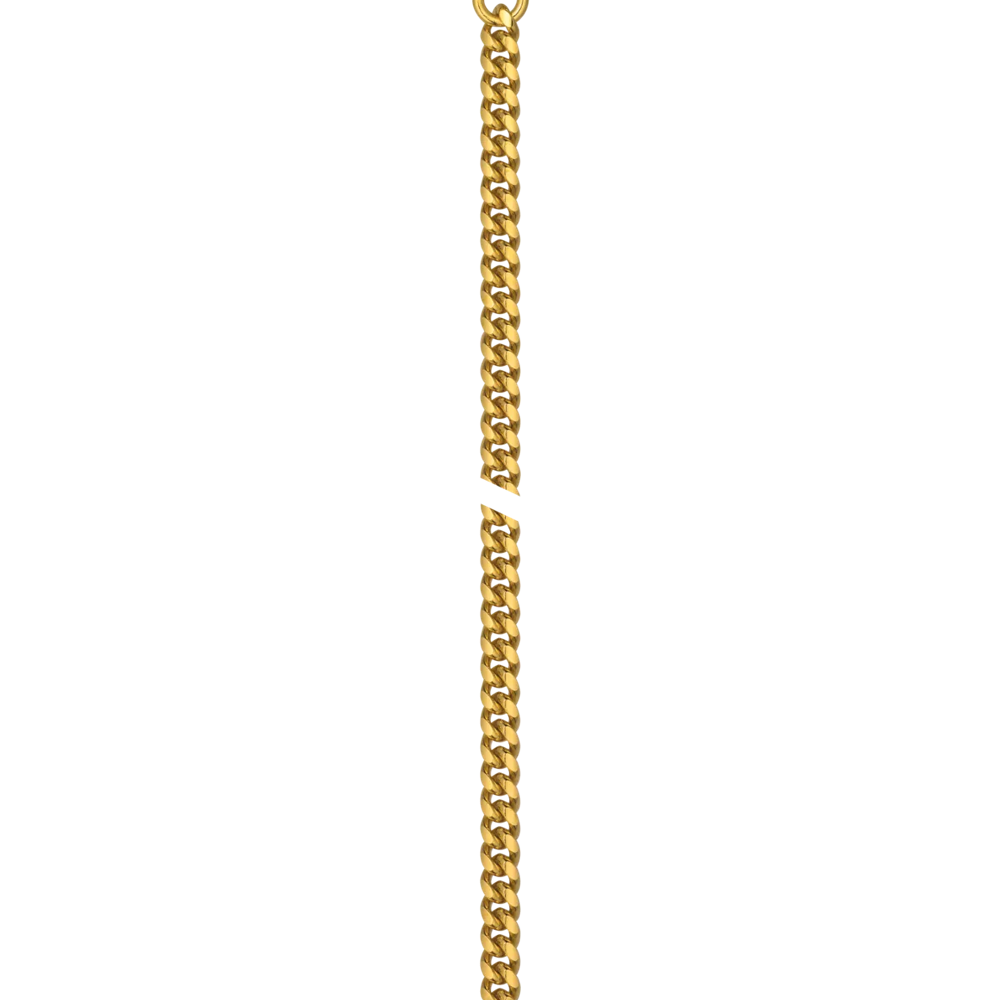 Strap zoom of the watch Tissot Savonnette 48.5mm