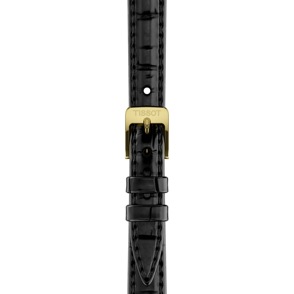 Strap zoom of the watch Tissot SRV 30mm