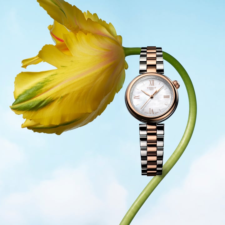 Montre Tissot D&eacute;sir bicolore