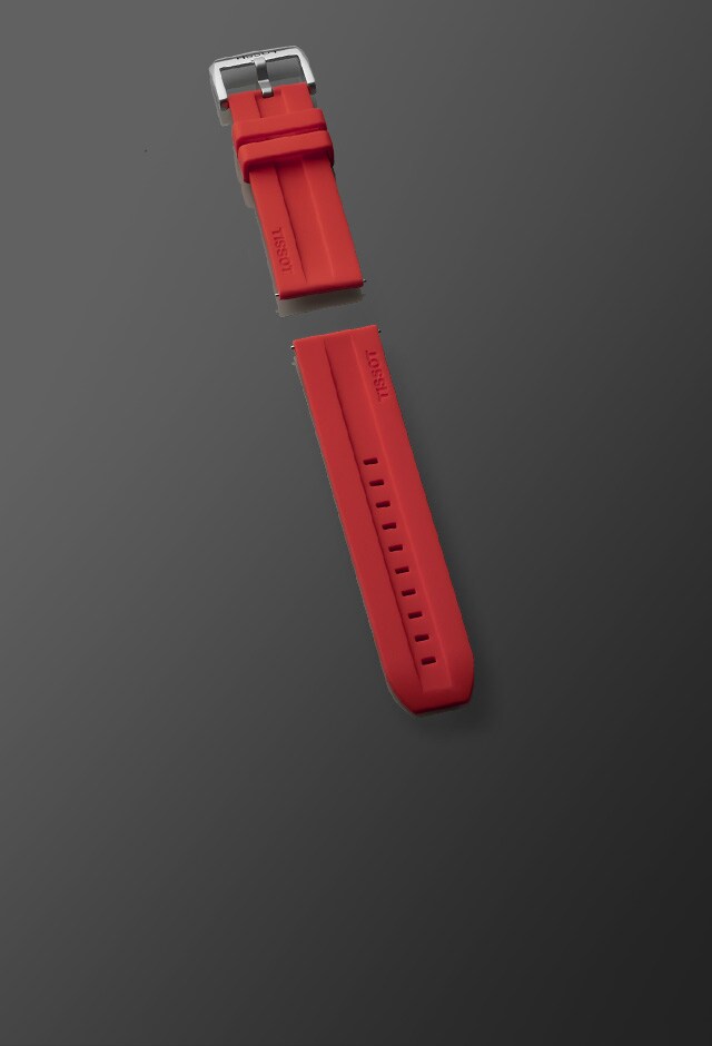 Red and Blue Web Canvas Strap Replacement